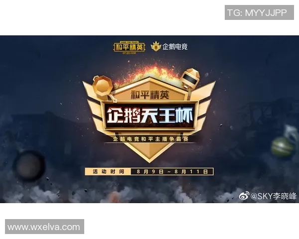 和平精英战队WE的灵活战术分析与团队协作探讨